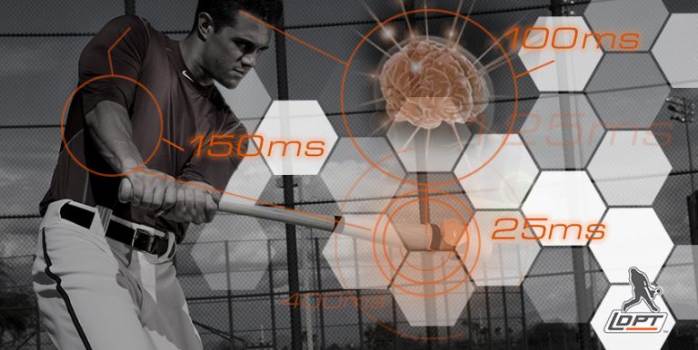 The Importance Of Muscle Memory In Baseball Swing Mechanics