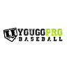Young Pro Baseball LDPT Review